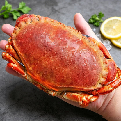 Brown Crab