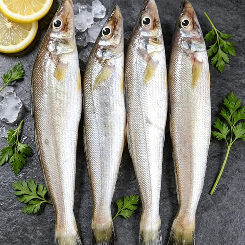 Small Sea Fish