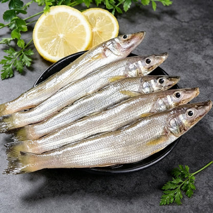Small Sea Fish